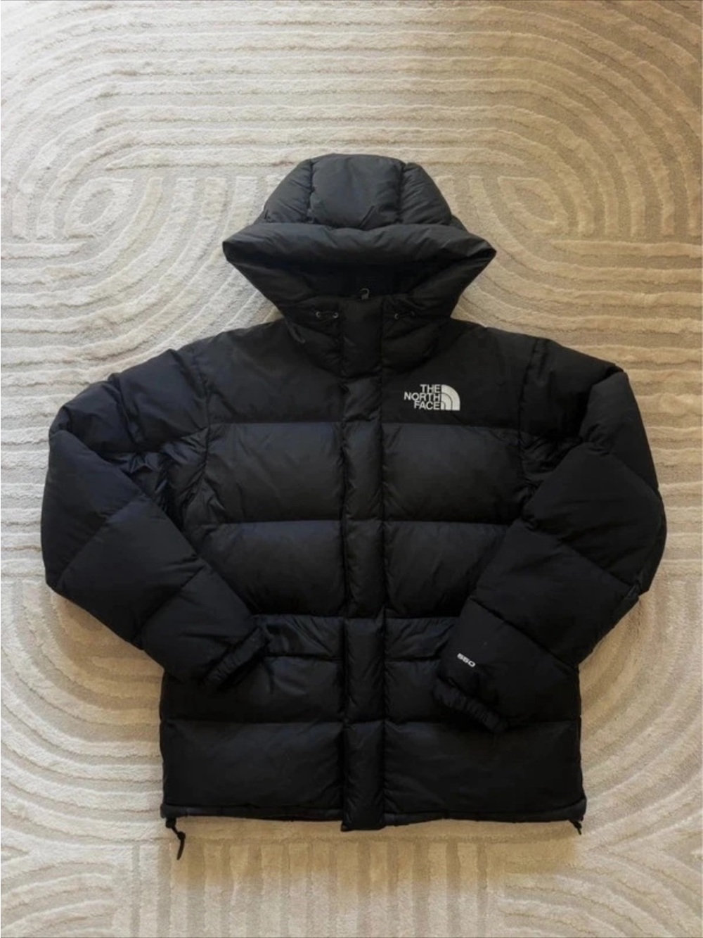 The North Face Warm Puffer Jacket with Attached Hood